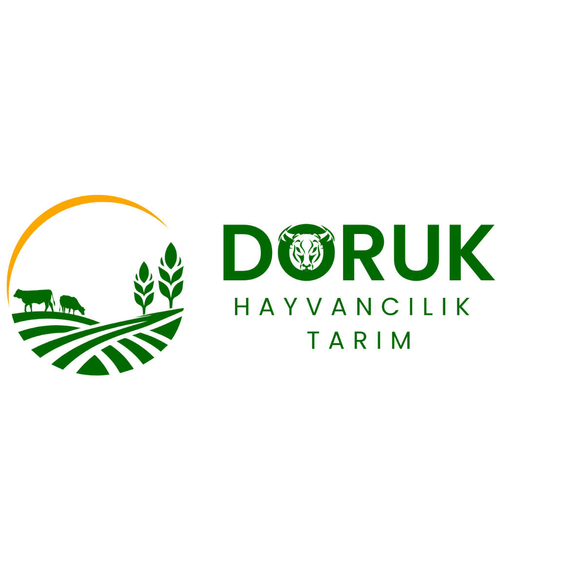 Doruk Logo